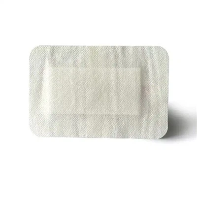 Tamponi assorbenti sterili